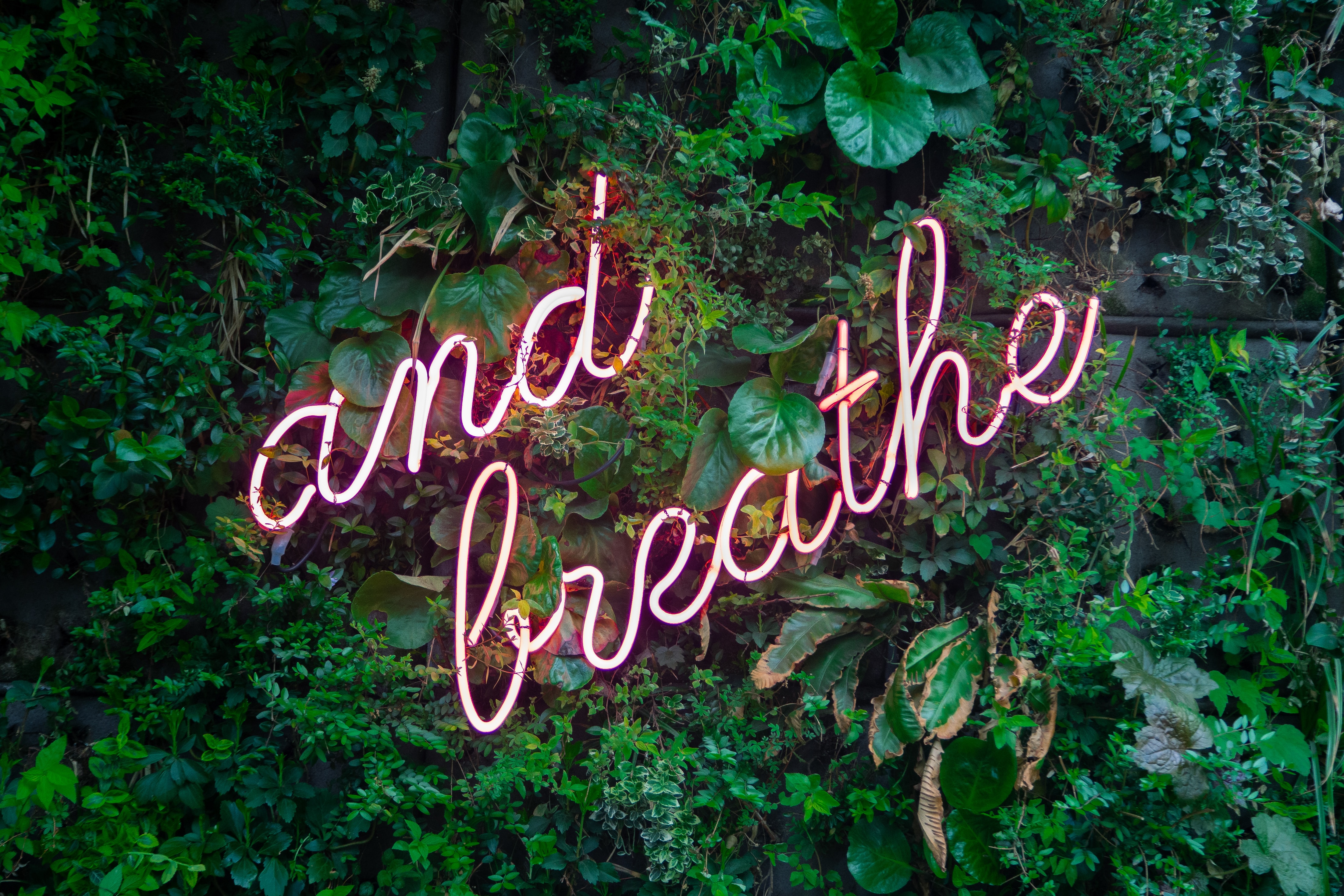 "and breathe" neon sign.